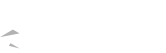 威九Logo